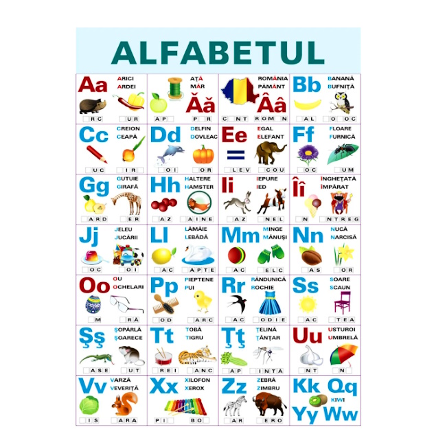 Planșe educaționale