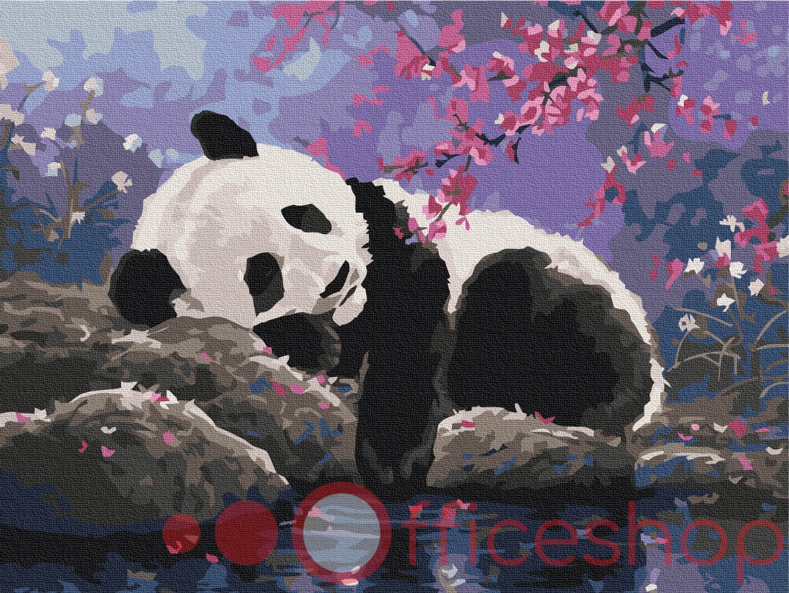 Картина по номерам Funny Art "Сладкий сон панды", 4*, 30x40 см, RBS25108